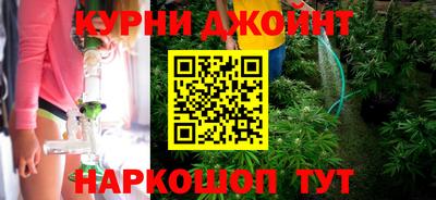 сатива Бузулук