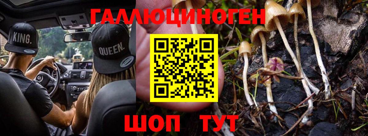 Псилоцибиновые грибы мухоморы Мирный