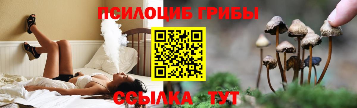 Мирный  Псилоцибиновые грибы ЛСД  Вход с VPN  Галлюциногенные грибы Magic Shrooms 